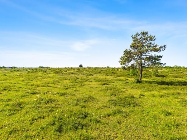 TBD County Road 342, Navasota, Texas image 2