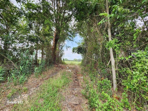 Vacant Land For Sale - 40224 Fm 1488 Road<br/> Hempstead, TX 77445