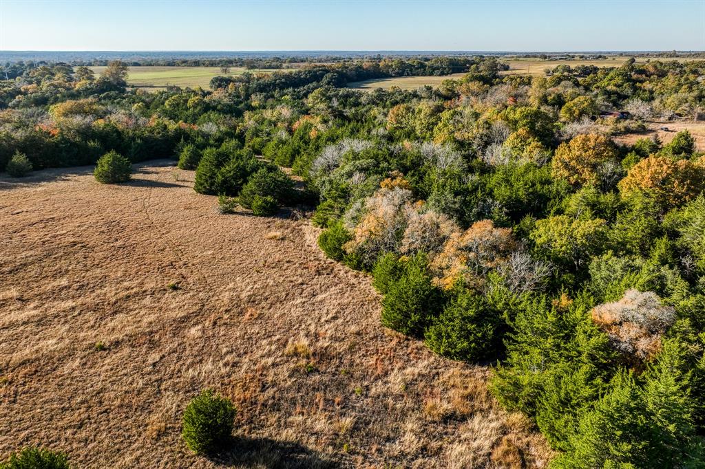 6717 Prihoda Road, New Ulm, Texas image 9