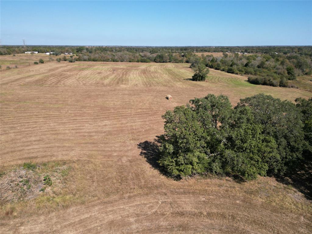 0000 Sun Belt Road, Iola, Texas image 5