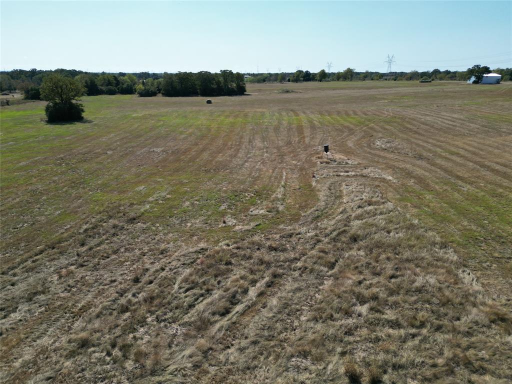 0000 Sun Belt Road, Iola, Texas image 3