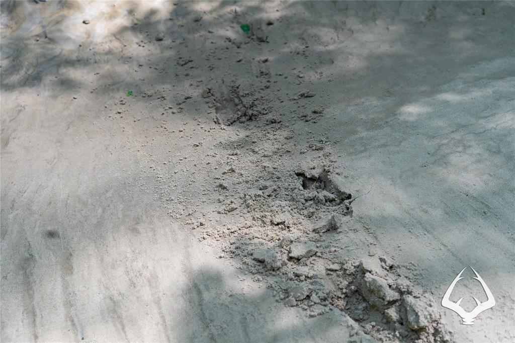 00 Fm 83, Bronson, Texas image 21