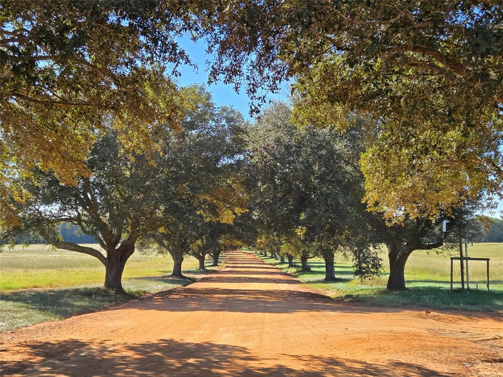 Lot 131 Green Valley Trail, Hillister, Texas image 3