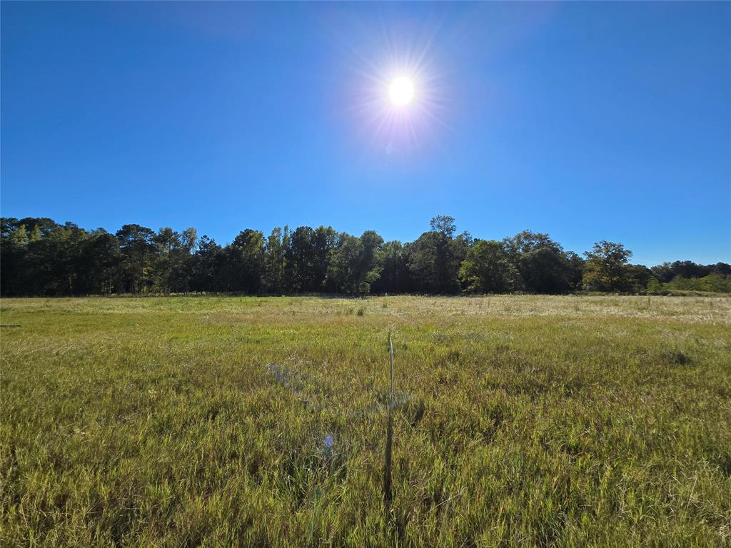 Lot 131 Green Valley Trail, Hillister, Texas image 2