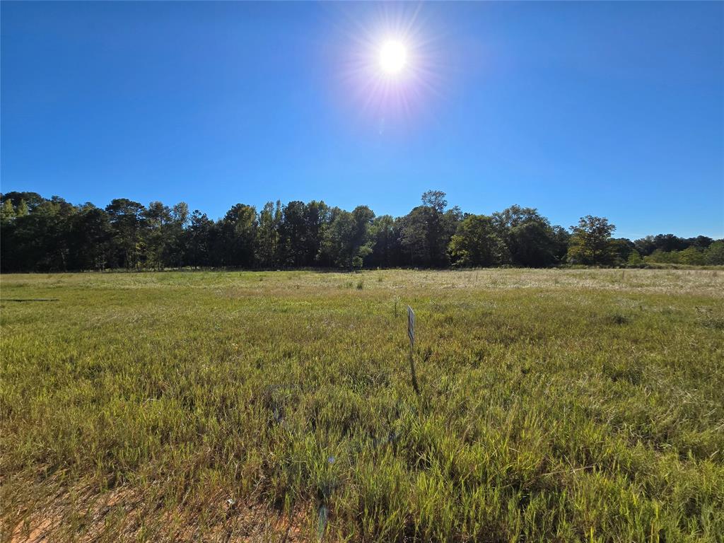 Lot 131 Green Valley Trail, Hillister, Texas image 1