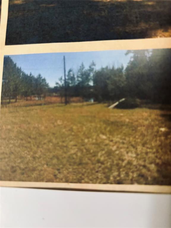 2280 State Highway 150, Coldspring, Texas image 3