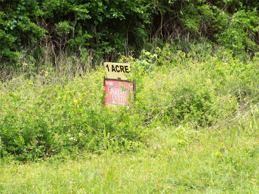 2280 State Highway 150, Coldspring, Texas image 2