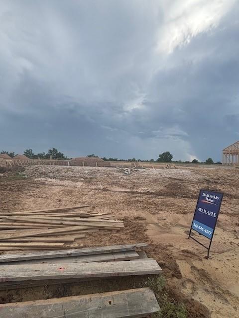 16215 Blue Mistflower Lane
