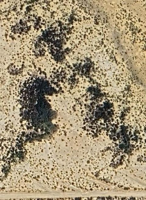 Photo of 0 Corzo Avenue, Study Butte-Terlingua, TX 79852 (MLS # 17322869)