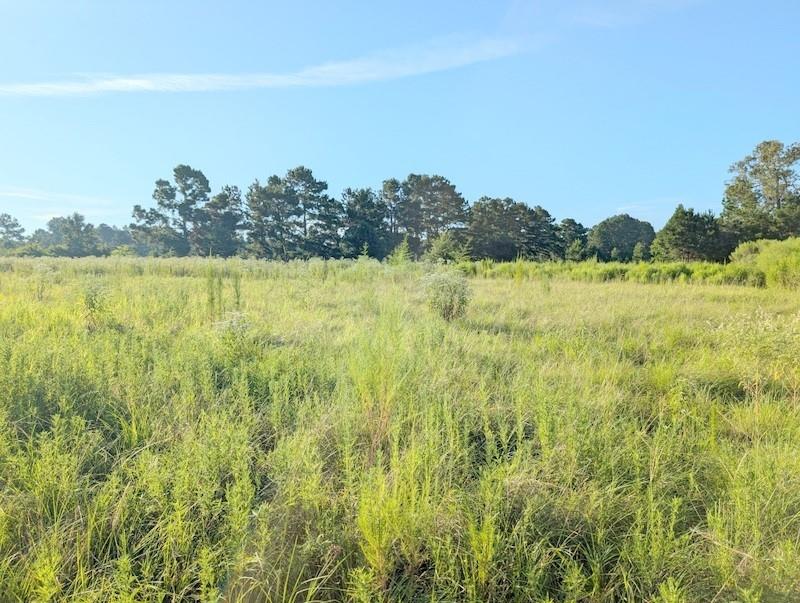 TBD County Road  3385, Lovelady, Texas image 7