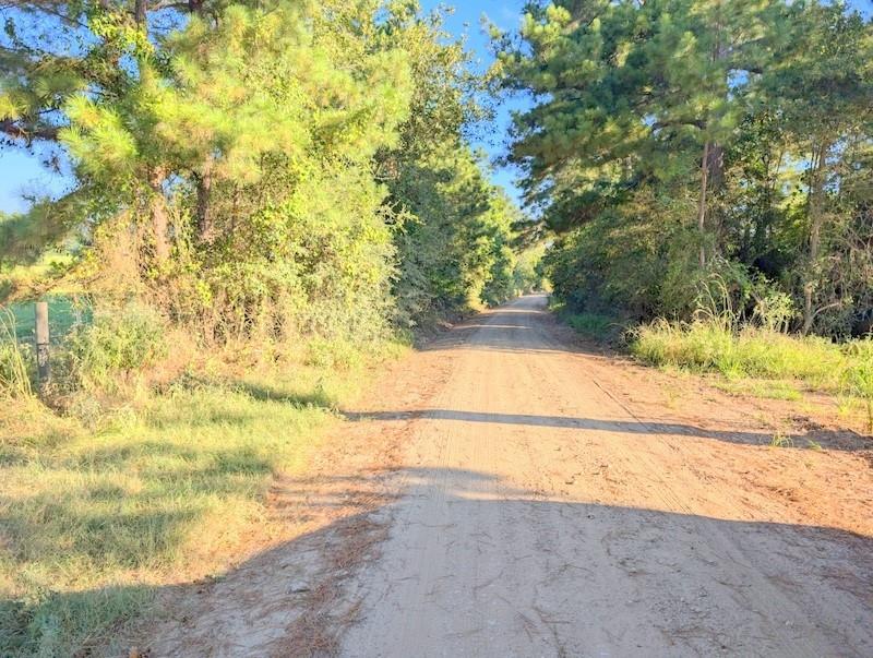 TBD County Road  3385, Lovelady, Texas image 8