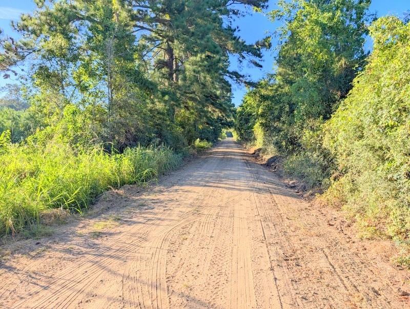 TBD County Road  3385, Lovelady, Texas image 9