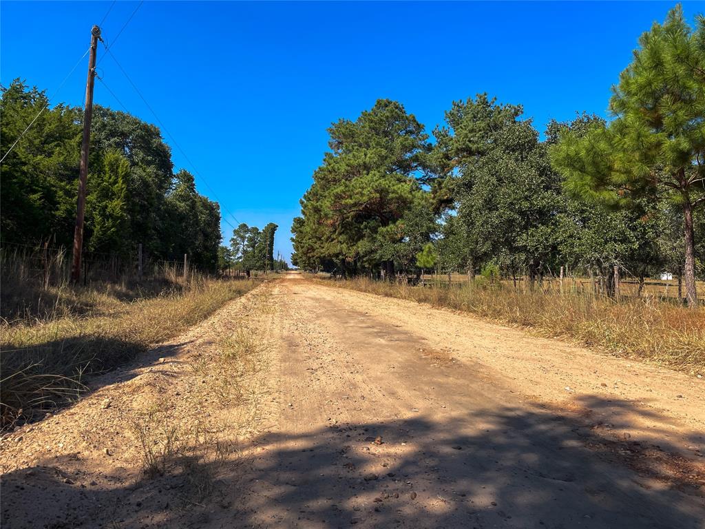 Tract 1 County Road 157a, Hallettsville, Texas image 28