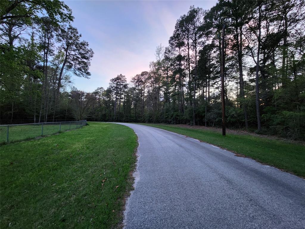 Loblolly, Trinity, Texas image 3