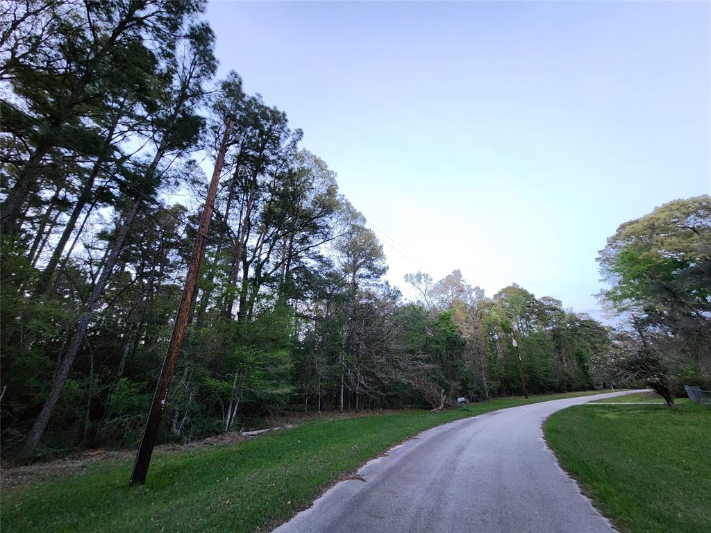 Loblolly, Trinity, Texas image 4