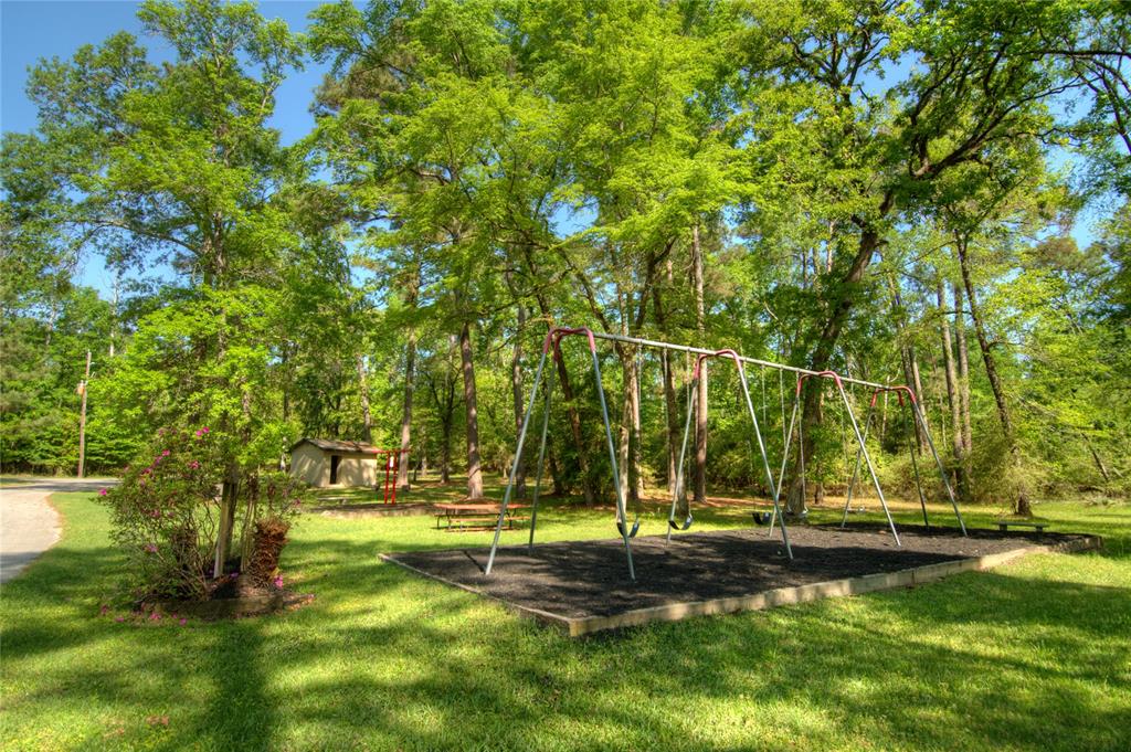 Loblolly, Trinity, Texas image 8