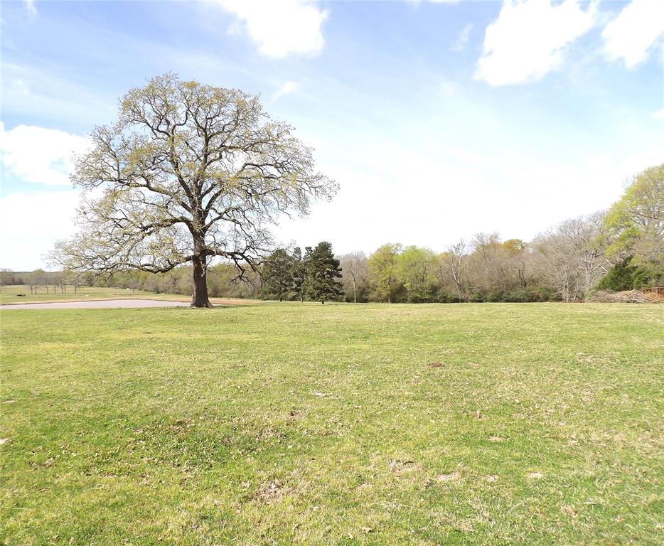 3145 Fm 1280, Lovelady, Texas image 13