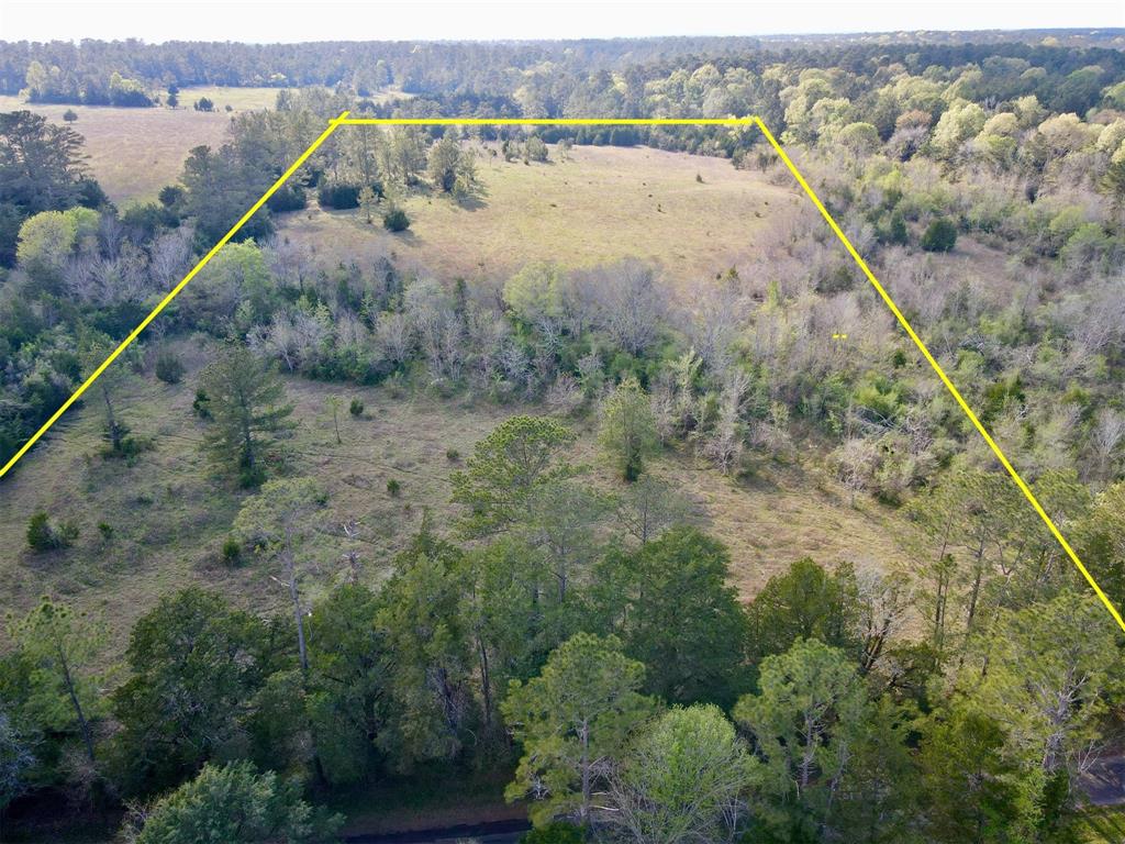 000 Eldridge Lane, Coldspring, Texas image 1