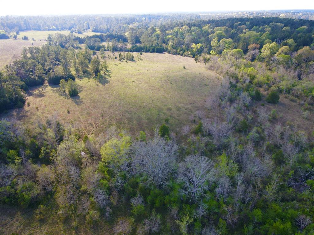 000 Eldridge Lane, Coldspring, Texas image 3