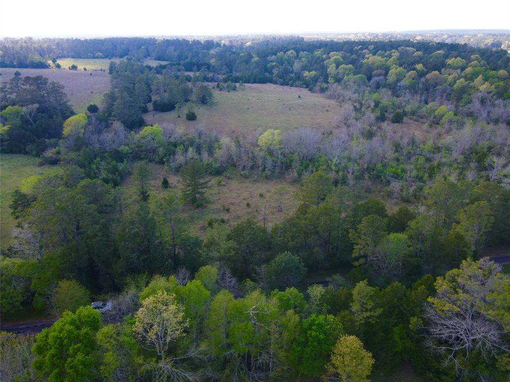 000 Eldridge Lane, Coldspring, Texas image 5