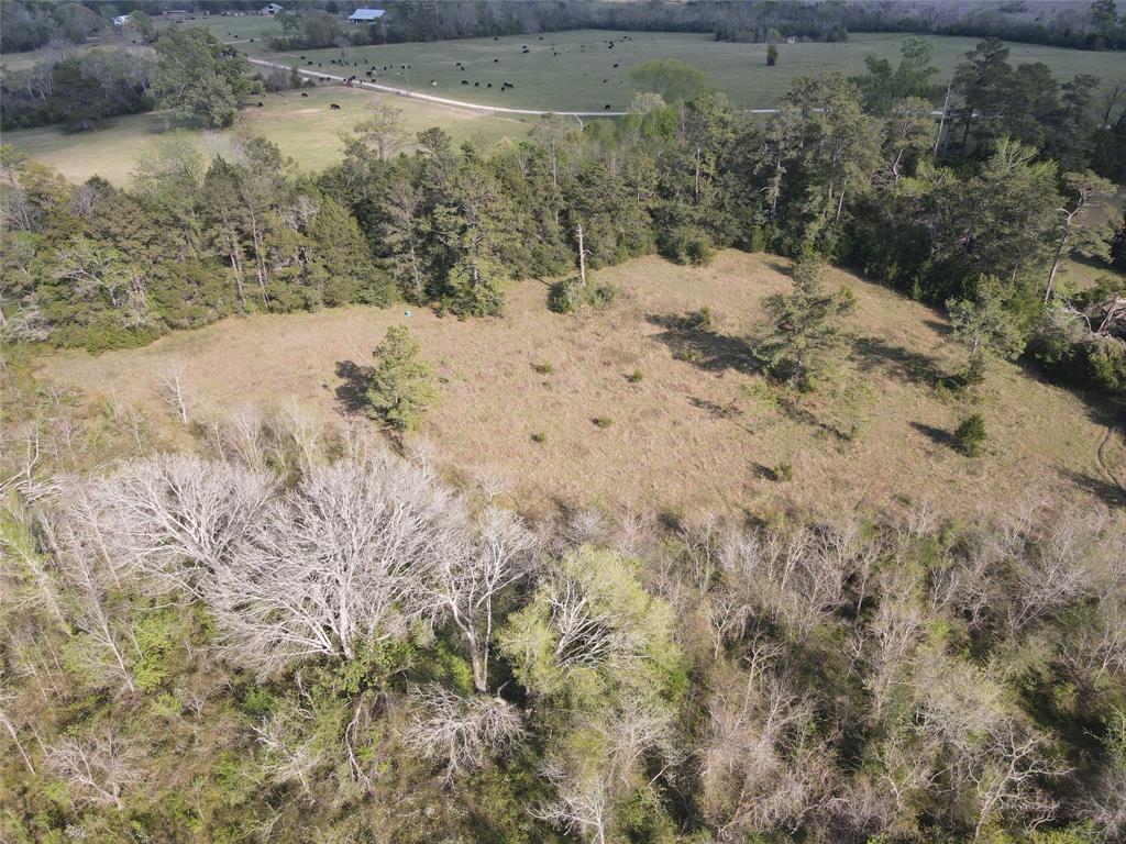000 Eldridge Lane, Coldspring, Texas image 2