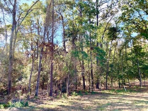 Vacant Land For Sale - TBD 4.6+/-AC Cr 2310<br/> Woodville, TX 75979