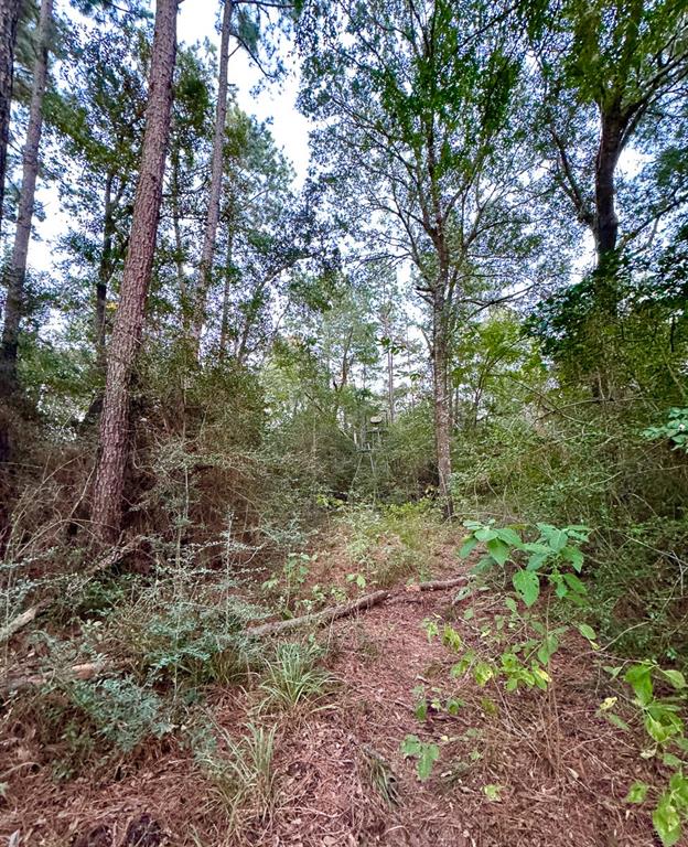 4 Hoke Road, Richards, Texas image 9