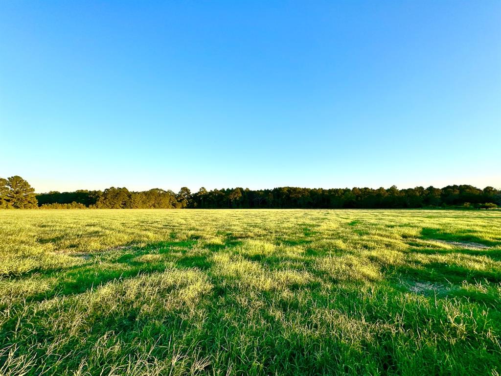 4 Hoke Road, Richards, Texas image 6