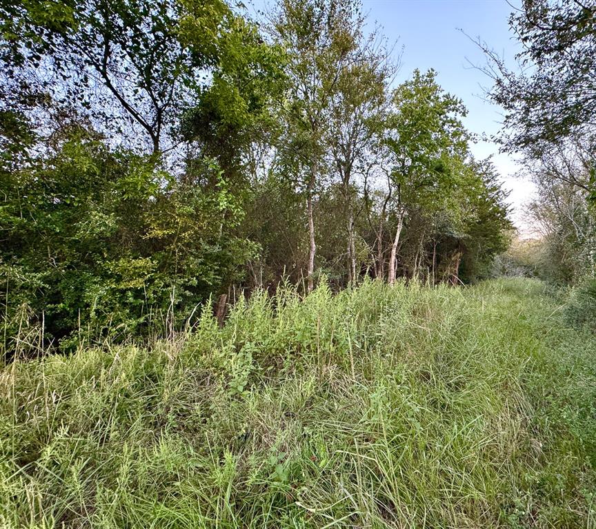 4 Hoke Road, Richards, Texas image 13