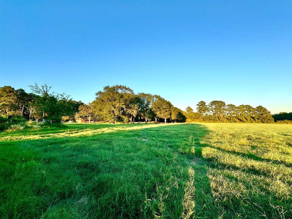 4 Hoke Road, Richards, Texas image 7