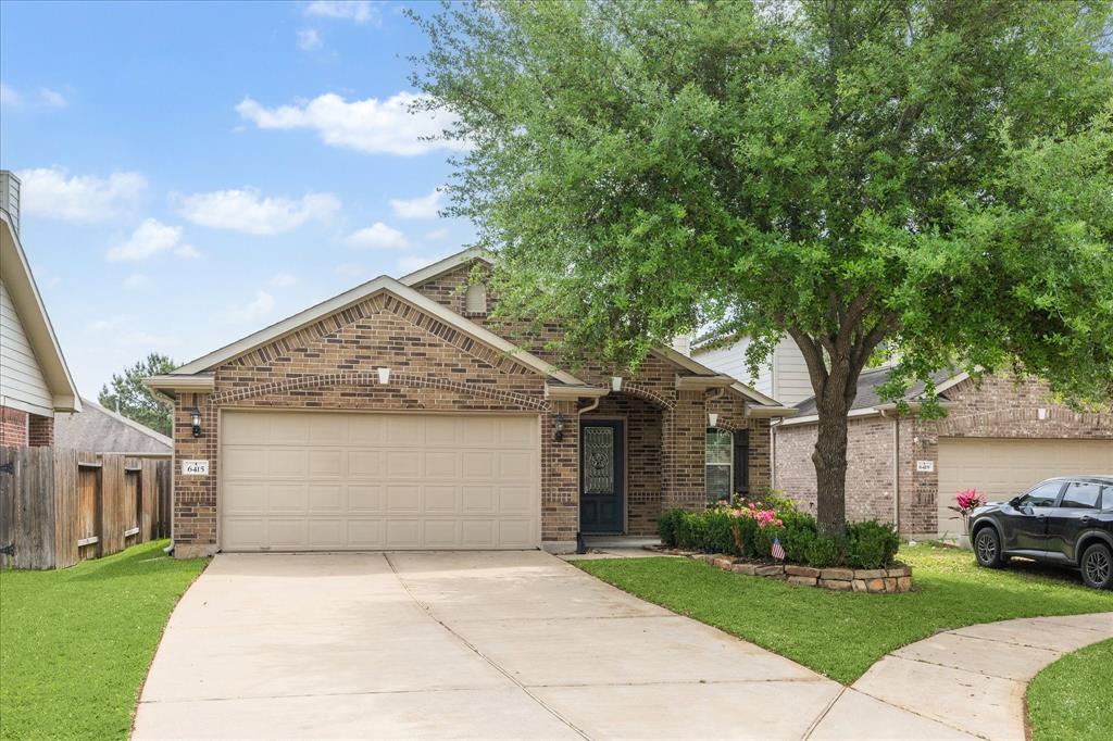 6415 Black Bamboo Lane, Katy, Texas image 1