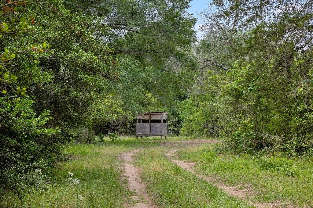 TBD Deer Hollow Road