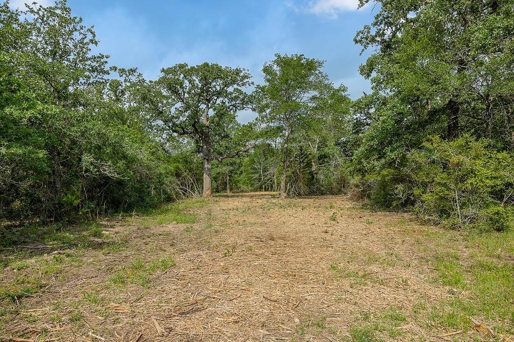 TBD Deer Hollow Road, Weimar, Texas image 16