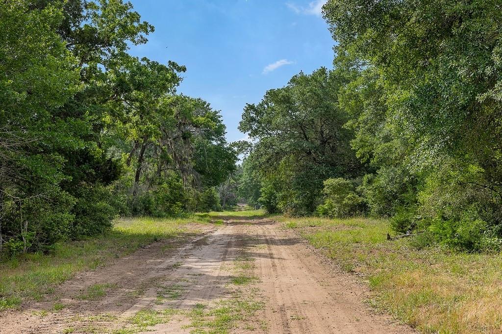 TBD Deer Hollow Road, Weimar, Texas image 21