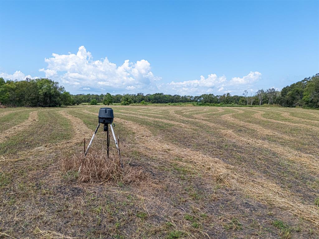 2602 N Fm 2429, Bellville, Texas image 14