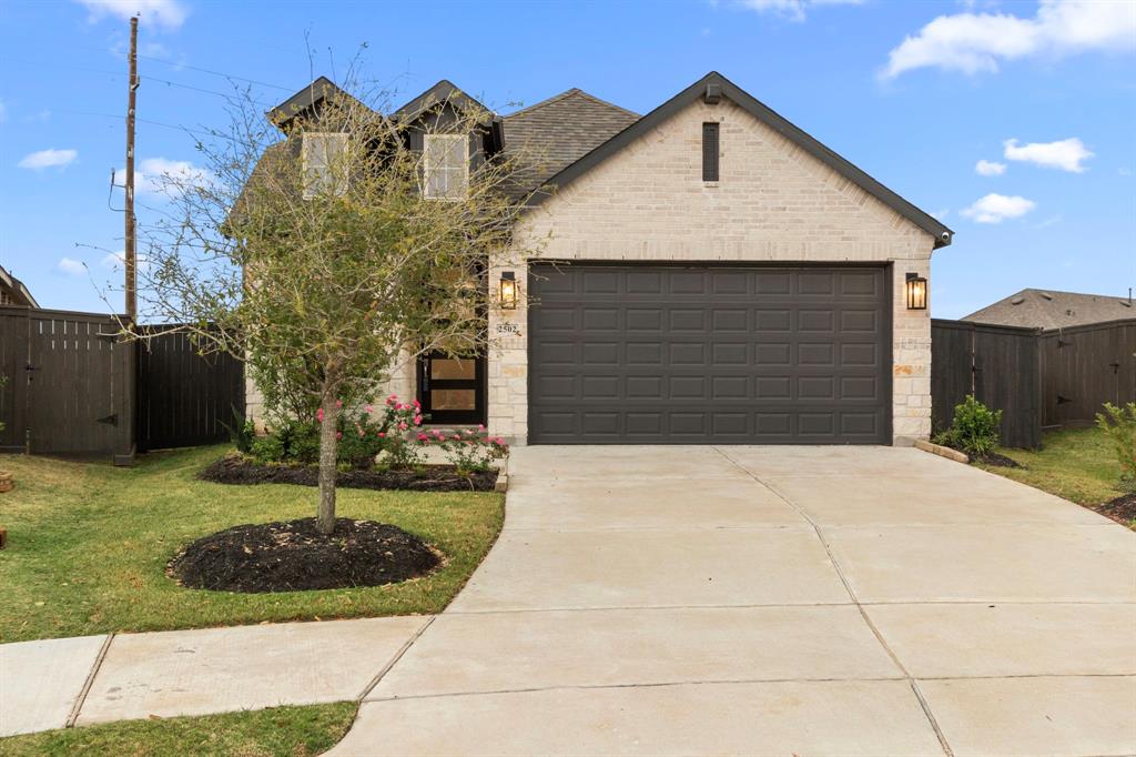 2502 Seedling Street, Richmond, Texas image 1