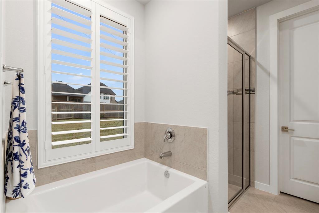 2502 Seedling Street, Richmond, Texas image 17