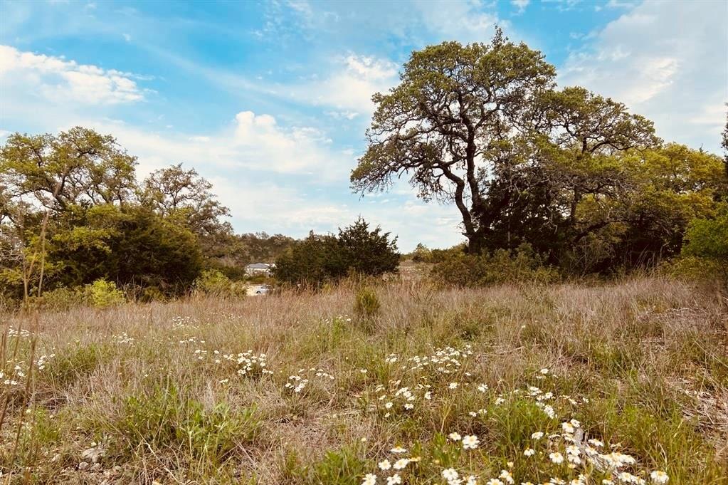 11303 Stiehler Hill, Boerne, Texas image 2
