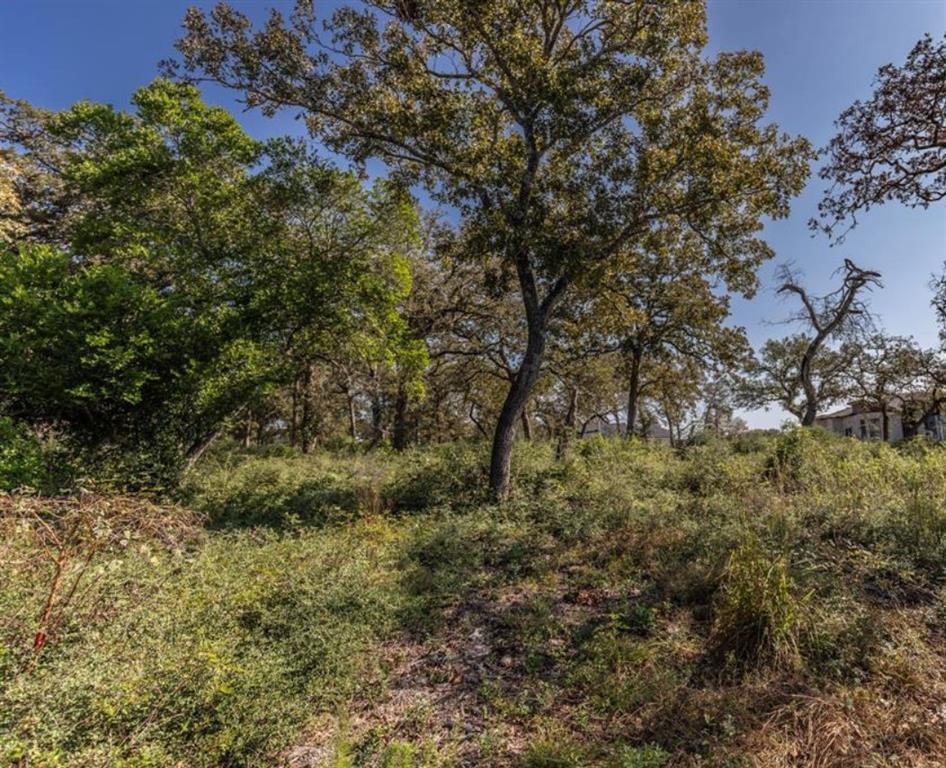 11303 Stiehler Hill, Boerne, Texas image 3