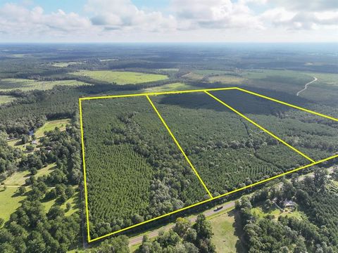 Photo of 2 Fm 1013, Kirbyville, TX 75956 (MLS # 20263866)