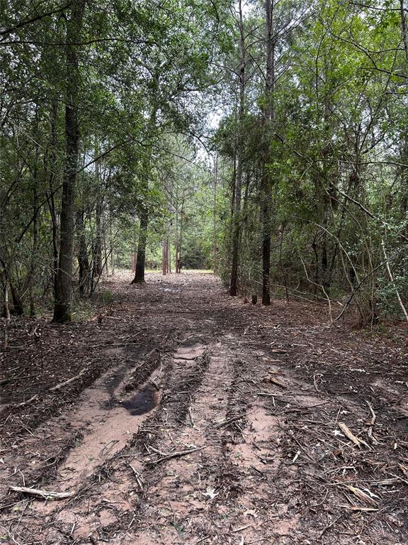 Shadowlane Court, Huntsville, Texas image 10