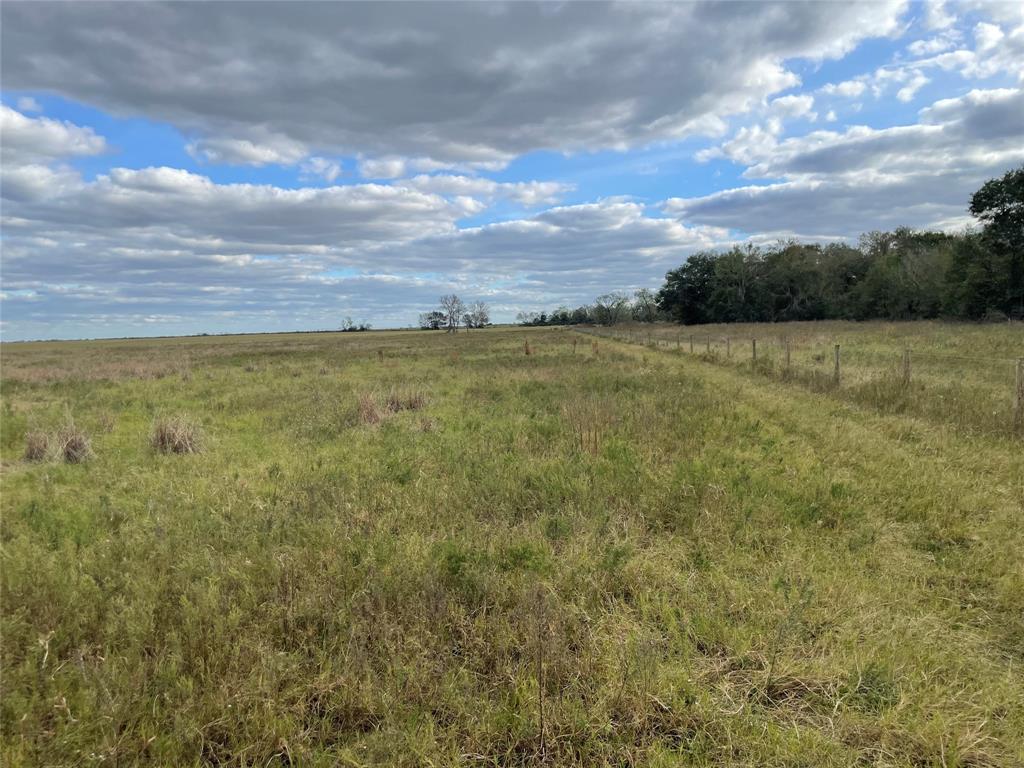 5497 County Road 209 Rd, East Bernard, Texas image 14