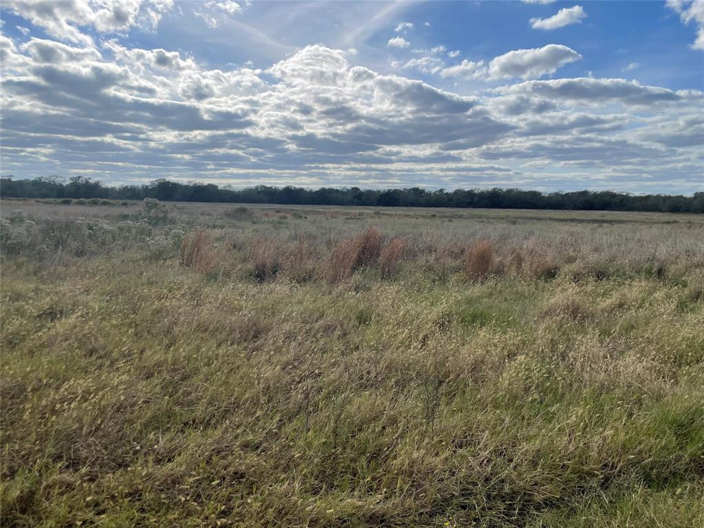 5497 County Road 209 Rd, East Bernard, Texas image 6