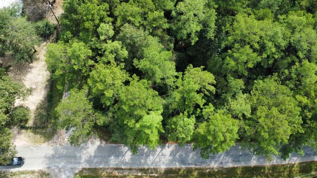 Lot 336 Powdrill, Buna, Texas image 1