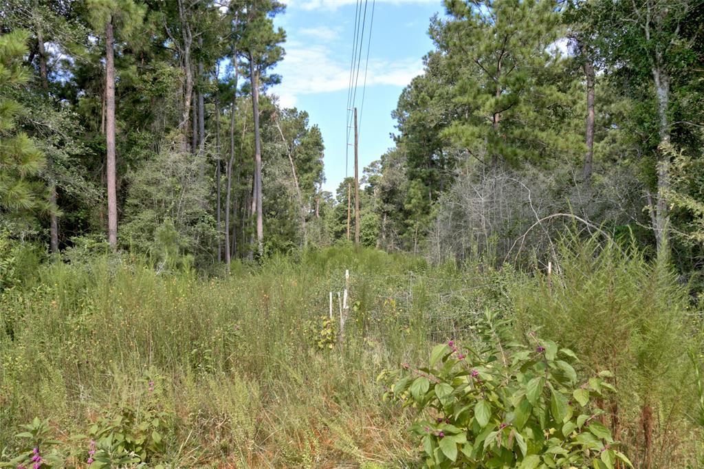 Lot On Hwy249 & Lot 3 & 6 Hwy 249 And Tawnyberry Lane, Plantersville, Texas image 12