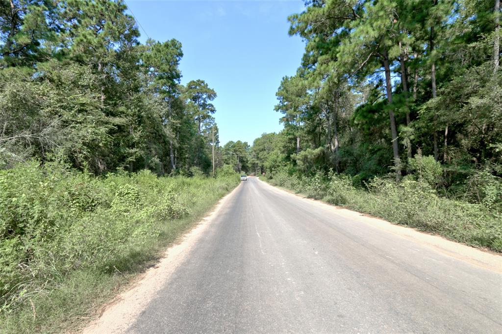 Lot On Hwy249 & Lot 3 & 6 Hwy 249 And Tawnyberry Lane, Plantersville, Texas image 18