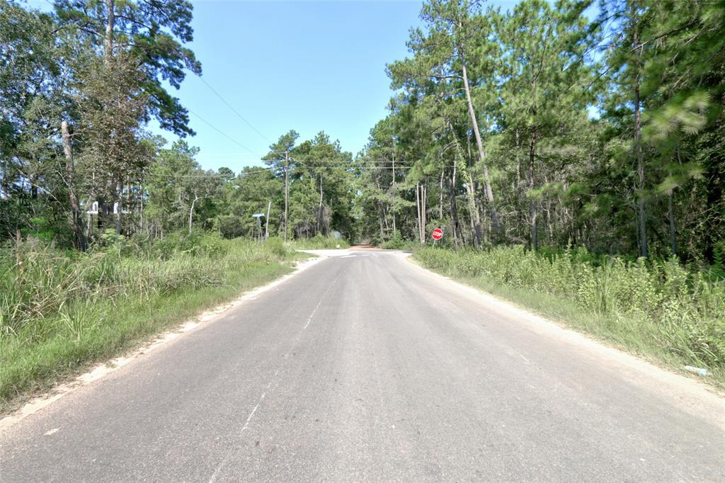 Lot On Hwy249 & Lot 3 & 6 Hwy 249 And Tawnyberry Lane, Plantersville, Texas image 20