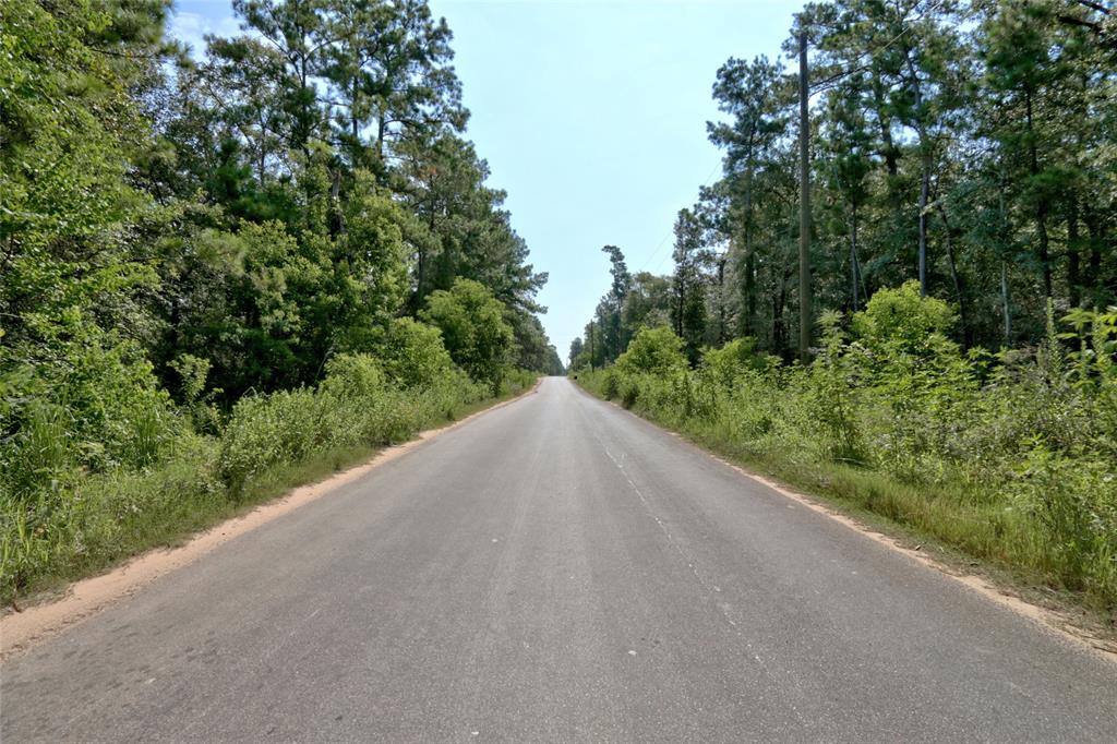 Lot On Hwy249 & Lot 3 & 6 Hwy 249 And Tawnyberry Lane, Plantersville, Texas image 21