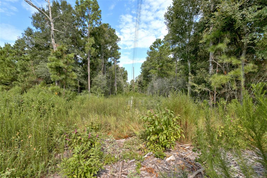 Lot On Hwy249 & Lot 3 & 6 Hwy 249 And Tawnyberry Lane, Plantersville, Texas image 11