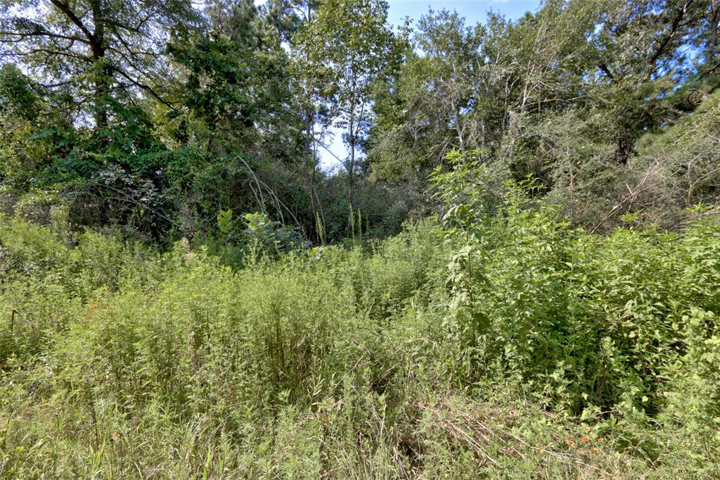 Lot On Hwy249 & Lot 3 & 6 Hwy 249 And Tawnyberry Lane, Plantersville, Texas image 17